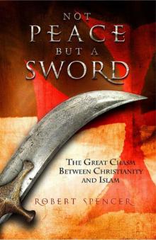 Not Peace but a Sword: The Great Chasm Between Christianity and Islam Read online