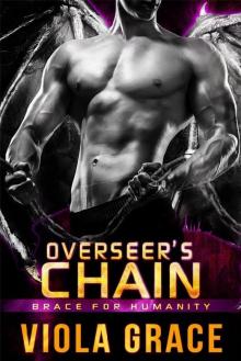 Overseer's Chain Read online