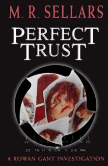Perfect Trust argi-3 Read online