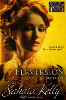 Perversion (Asylum for the Mechanically Insane Book 3) Read online