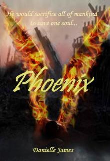 Phoenix_A Forbidden Love Novel, The Boston Clan Read online