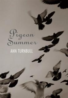 Pigeon Summer Read online