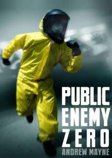Public Enemy Zero Read online