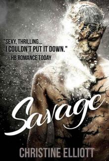 Savage: a Fighter Erotic Romance Novella Read online