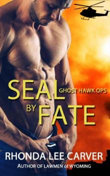 SEAL by Fate (Ghost Hawk Ops Book 1) Read online