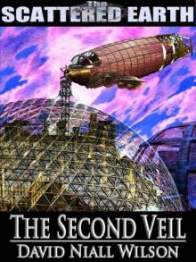 Second Veil Read online