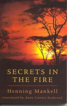 Secrets in the Fire Read online