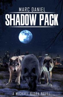 SHADOW PACK (Michael Biörn Book 1) Read online