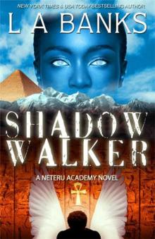 Shadow Walker (Neteru Academy Books) Read online