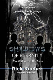 Shadows of Eternity: The Children of the Owls (Frost and Flame Book 2) Read online