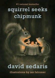 Squirrel Seeks Chipmunk Read online