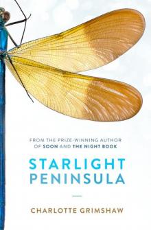 Starlight Peninsula Read online