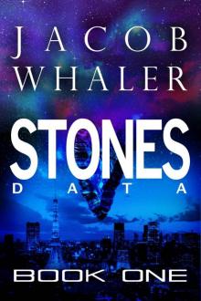 Stones (Data) Read online