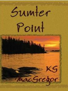 Sumter Point Read online