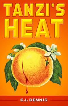 Tanzi's Heat (Vince Tanzi Book 1) Read online