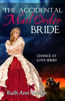 The Accidental Mail Order Bride Read online
