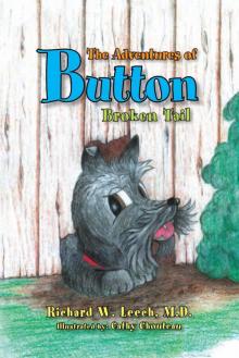 The Adventures of Button Read online