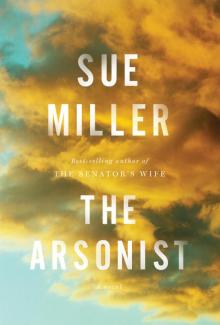 The Arsonist Read online