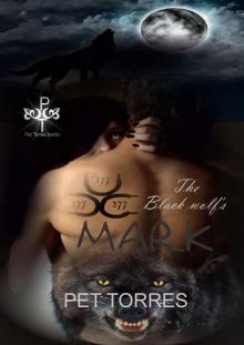 The black wolf's mark (The black wolf's mark ,#1) Read online