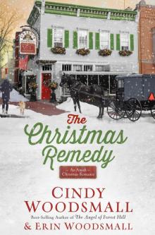 The Christmas Remedy Read online