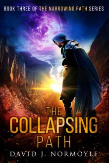 The Collapsing Path (The Narrowing Path Series Book 3) Read online
