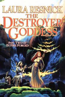 The Destroyer Goddess Read online