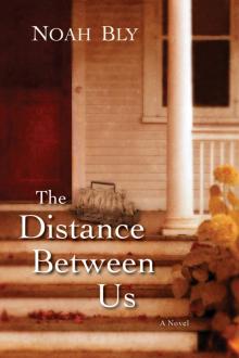 The Distance Between Us Read online