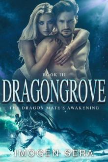 The Dragon Mate's Awakening (Dragongrove Book 3) Read online