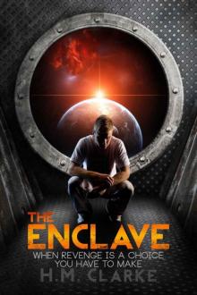 The Enclave (The Verge) Read online