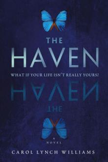 The Haven: A Novel