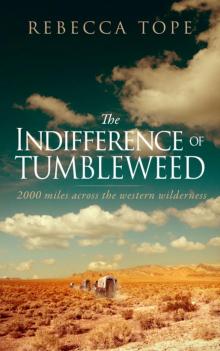 The Indifference of Tumbleweed Read online
