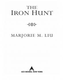 The Iron Hunt Read online