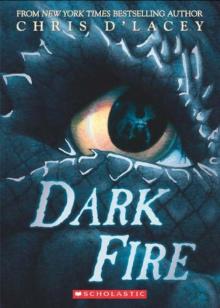 The Last Dragon Chronicles #5: Dark Fire Read online