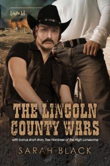 The Lincoln County Wars Read online