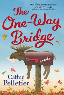 The One-Way Bridge Read online