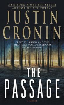 The Passage: A Novel Read online