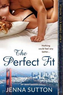 The Perfect Fit (Riley O'Brien & Co. #2.5) Read online