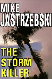 The Storm Killer Read online