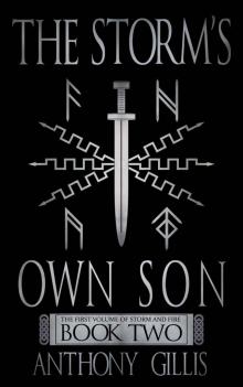 The Storm's Own Son (Book 2) Read online