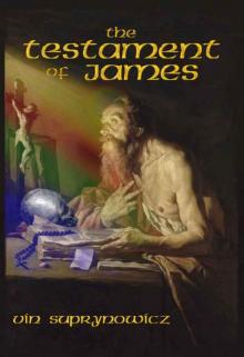 The Testament of James (Case Files of Matthew Hunter and Chantal Stevens) Read online