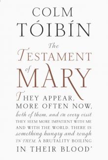 The Testament of Mary Read online