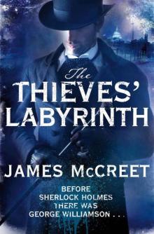 The Thieves' Labyrinth (Albert Newsome 3)