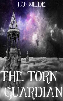 The Torn Guardian Read online