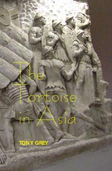 The Tortoise in Asia Read online