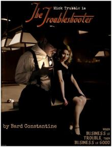 The Troubleshooter Read online