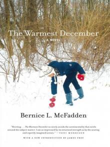 The Warmest December Read online