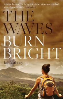 The Waves Burn Bright Read online
