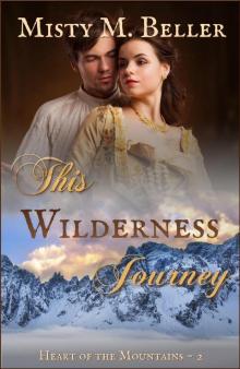 This Wilderness Journey Read online