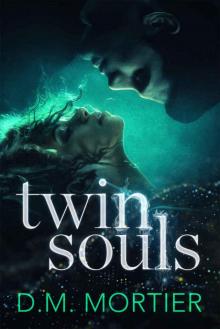Twin Souls (The Guardians: Book 2) Read online