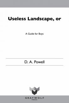 Useless Landscape, or a Guide for Boys Read online